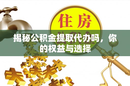 遂昌揭秘公积金提取代办吗，你的权益与选择