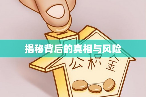 遂昌揭秘背后的真相与风险